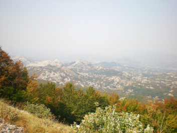 photo 162496