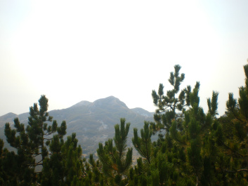 photo 162498