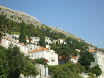 photo 157164