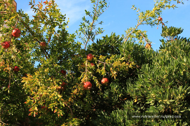 photo 1547964