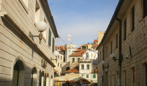 IMGP2005