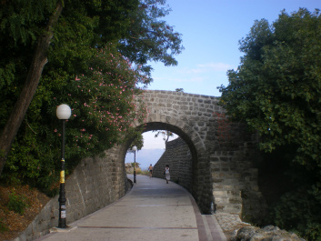 photo 195705