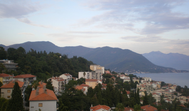 IMGP1931
