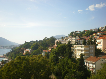 photo 322784