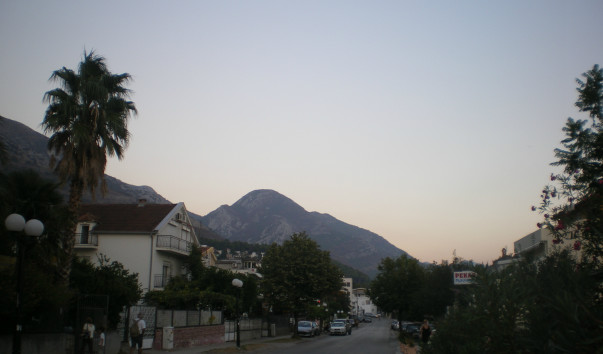 IMGP2116