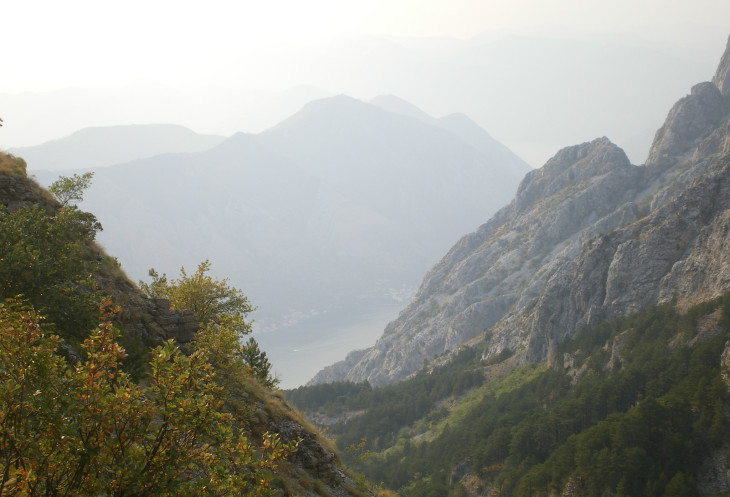     ,   .   -  ,      -       .