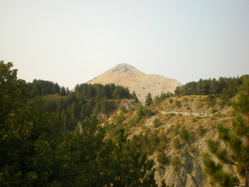 photo 171493