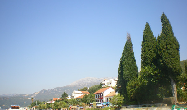IMGP1840