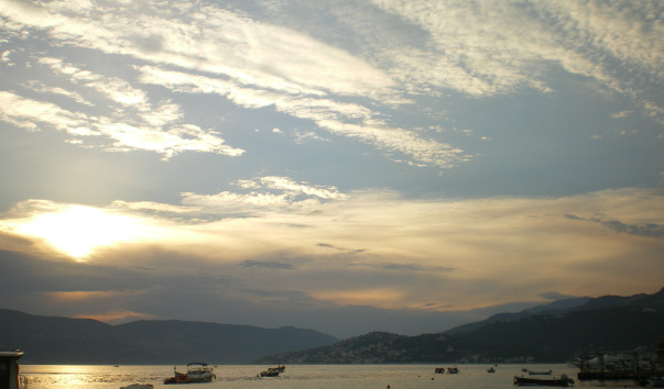 IMGP1831