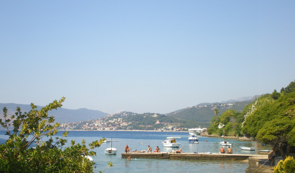 IMGP1847