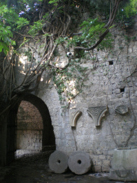photo 227962