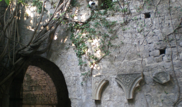 IMGP2229