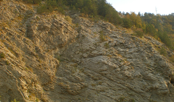 IMGP1796