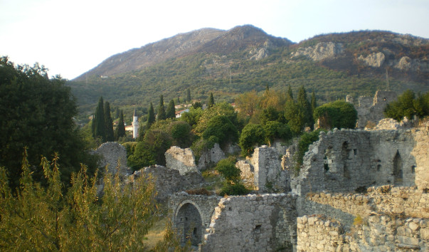 IMGP2265