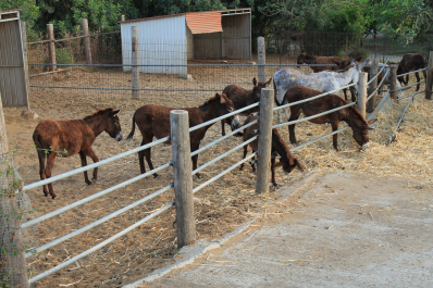 photo 1033171