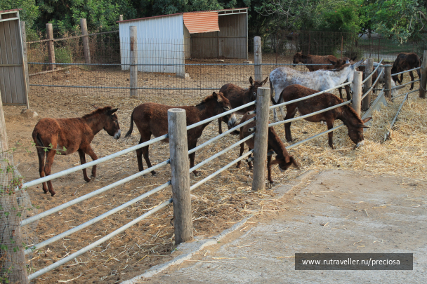 photo 1033171