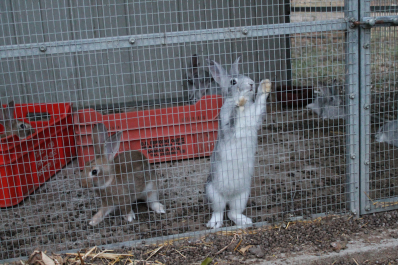 photo 1033173