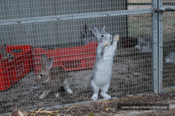 photo 1033173