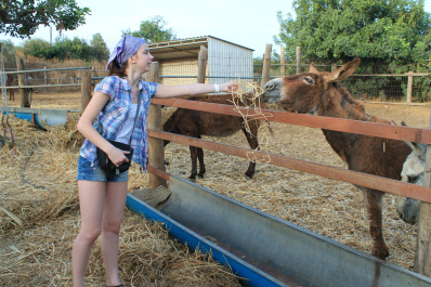 photo 424339