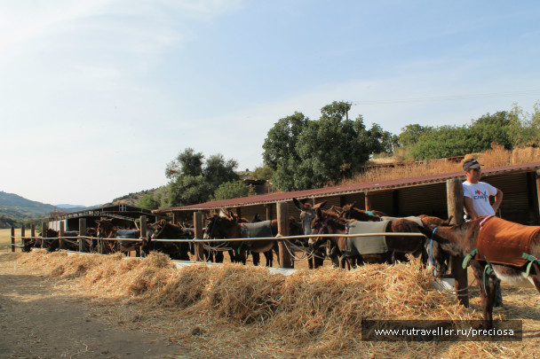 photo 424340