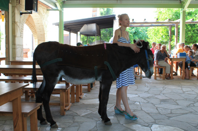 photo 424341