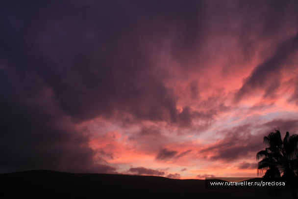 photo 1008015