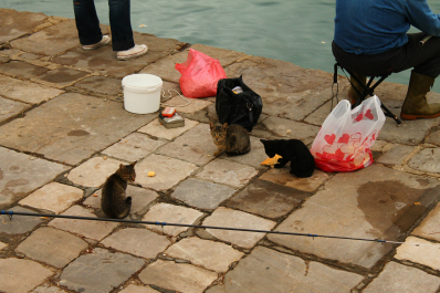 photo 645890