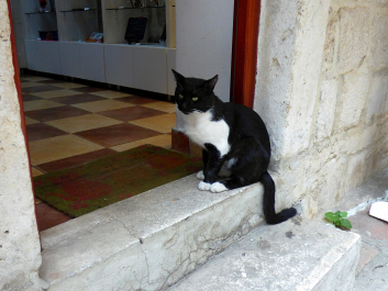 photo 1543876