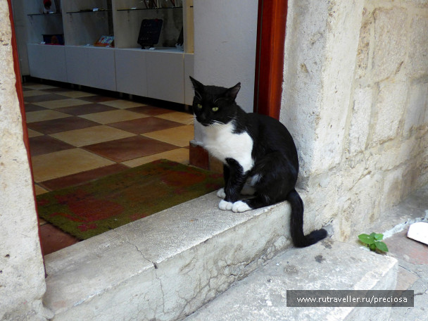 photo 1543876