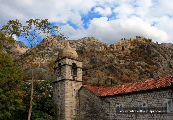 photo 1576442