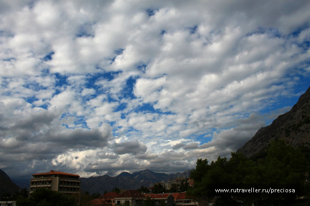 photo 1754238