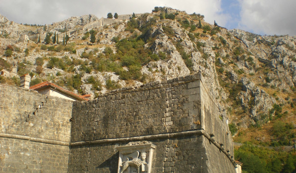 IMGP1962