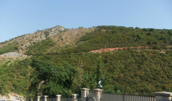 DSCF0240