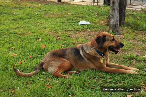 photo 973458