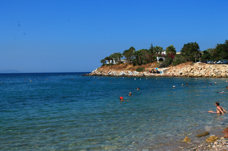     .  ,    .    -     .   .