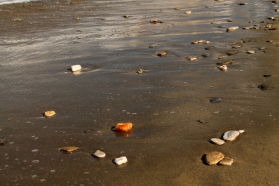 photo 898736