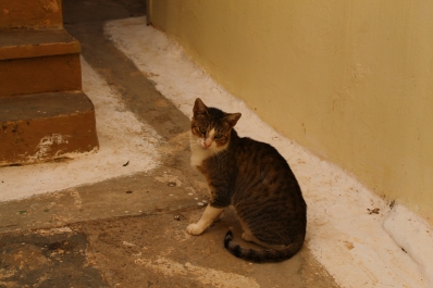 photo 911931