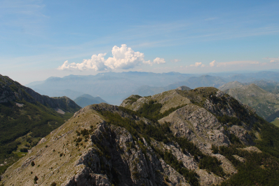 photo 1083421