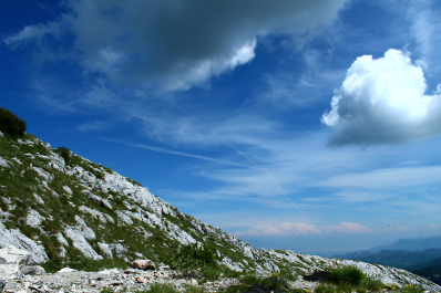 photo 1460757