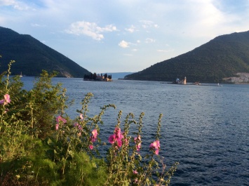 photo 1079329