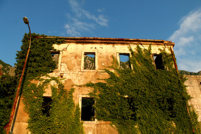 photo 1179818