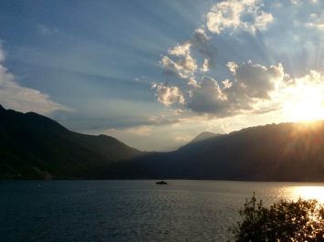 photo 1214408