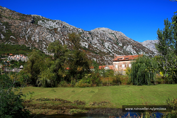 photo 1746424