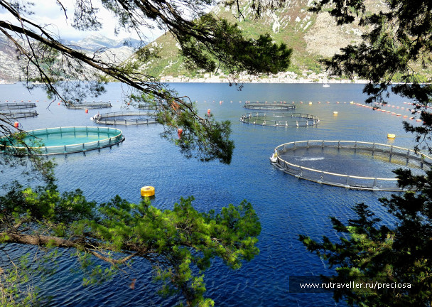 photo 1746944