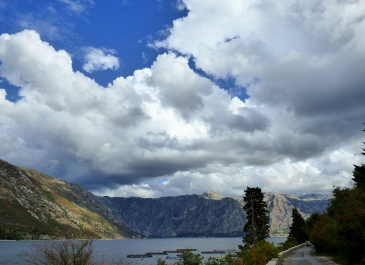 photo 1746988