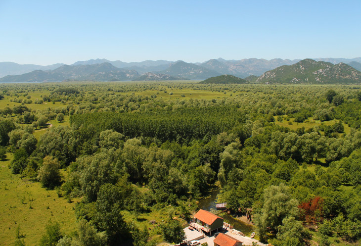       -      ' ',         ...