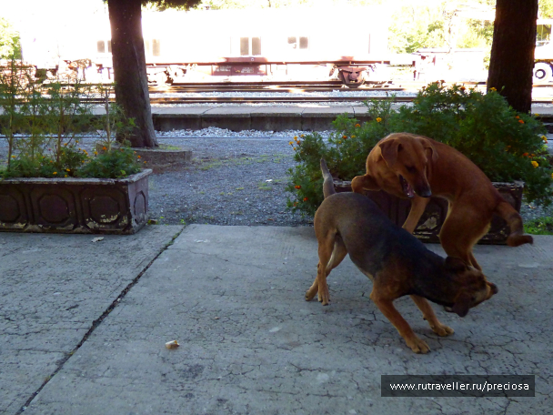 photo 1599790