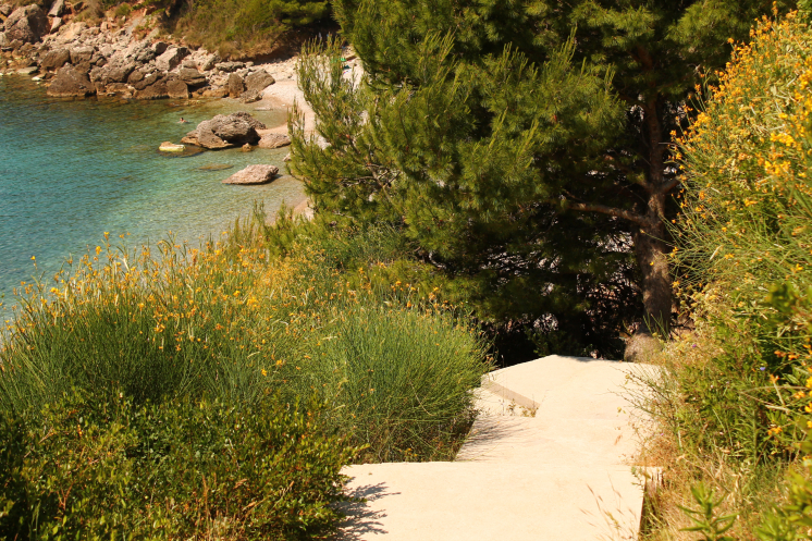   (     )              .