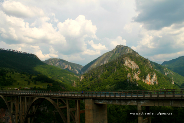 photo 1175519