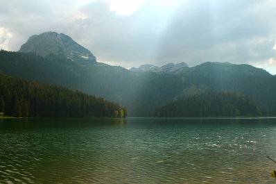 photo 1220343